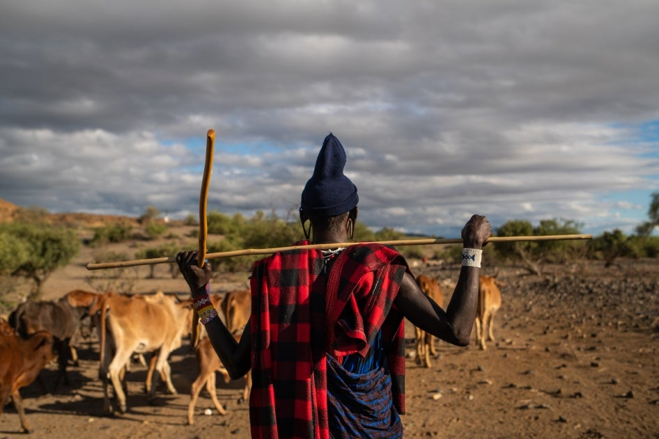 A Maasai man overseeing his cattle in Tanzania, representing indigenous communities affected by land issues